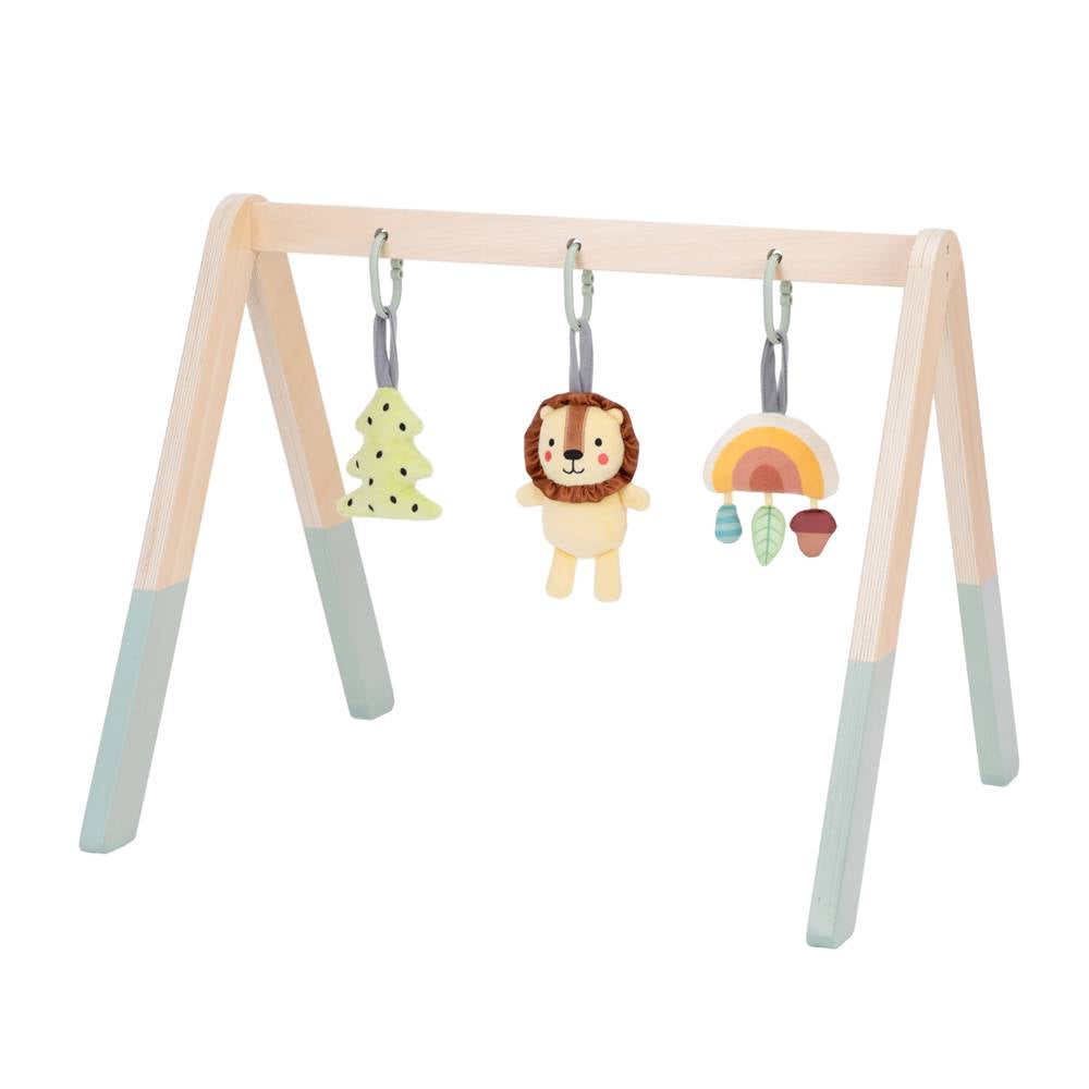 TookyToy - Portable Baby Gym & Mobile