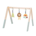 TookyToy - Portable Baby Gym & Mobile