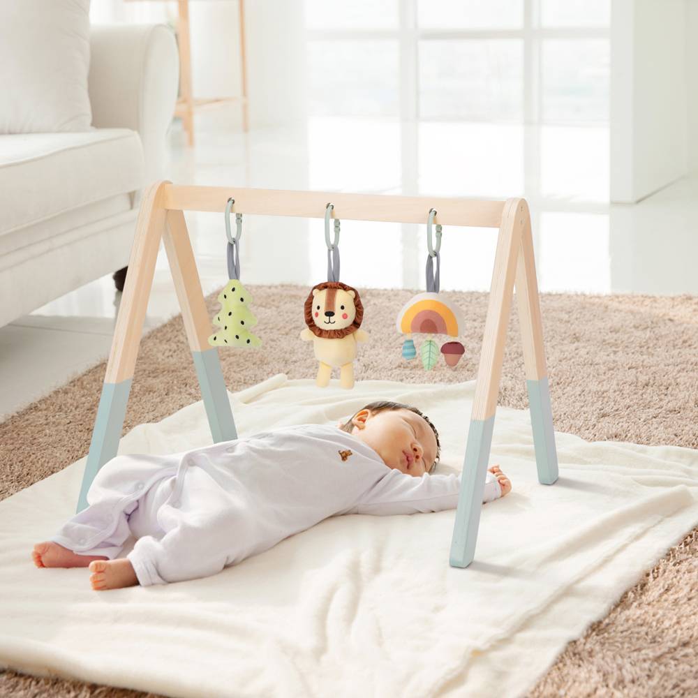 TookyToy - Portable Baby Gym & Mobile